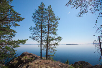 two Christmas trees on a stone on a background of blue water scandinavia