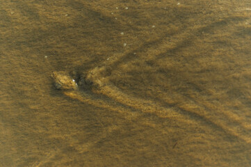 Detail of the ocean with waves and white bubbles