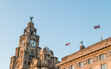 Fototapeta na wymiar Royal Liver Building dominates the Liverpool skyline