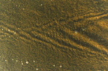 Detail of the ocean with waves and white bubbles