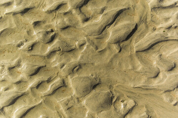 Surface detail of a sand beach with a beautiful pattern