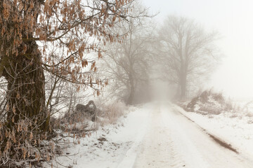 a road covered with snow in winter