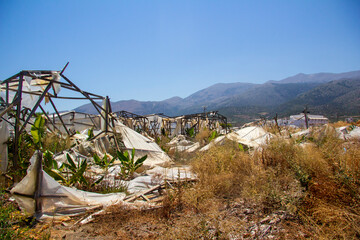 Destroyed greenhouses with bananas. Crete, Greece.