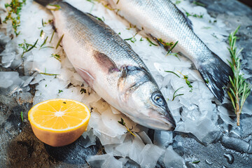 Fish with ice for cooking in a restaurant. Fresh raw sea bass fish with lemon slices on a gray background, top view