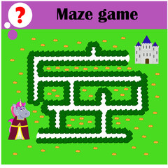 Maze game. Help the unicorn lady get to the castle