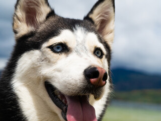 beautiful landscape in the lagoon of tota Aquitania, Boyaca, Colombia