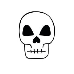 Vector hand drawn doodle sketch skull isolated on white background