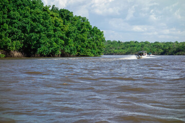 speedboat sailing on tropical river in brazilian nature, mangrove ecosystem