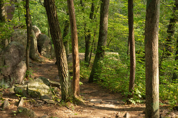 East Bluff Trail.