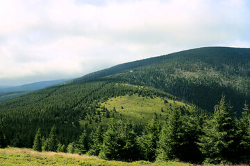 Karkonosze in the summer. View of the mountains covered with green trees. Thick clouds over the mountains. Karkonosze National Park 
