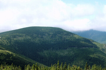 Obraz premium Karkonosze in the summer. View of the mountains covered with green trees. Thick clouds over the mountains. Karkonosze National Park 