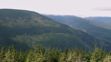 Karkonosze in the summer. View of the mountains covered with green trees. Thick clouds over the mountains. Karkonosze National Park 