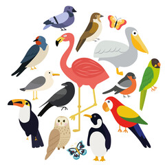 Vector set of different birds on a white background such as: pelican, flamingo, penguin, dove, sparrow, parrot, bullfinch, crow, seagull, butterfly, owl, toucan, swallow. Flat illustration