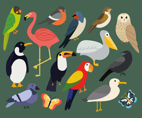 Vector set of different birds on a green background such as: pelican, flamingo, penguin, dove, sparrow, parrot, bullfinch, crow, seagull, butterfly, owl, toucan, swallow. Flat illustration