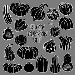 Set of black pumpkin on gray background. Collection of pumpkins of various shapes. Autumn decor