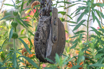 Roue d'un puit entour&eacute; de fleurs