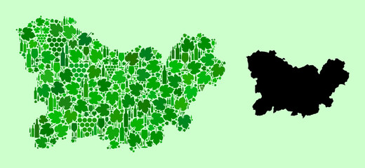Obraz premium Vector Map of Ourense Province. Mosaic of green grape leaves, wine bottles. Map of Ourense Province collage formed from bottles, grapes, green leaves.