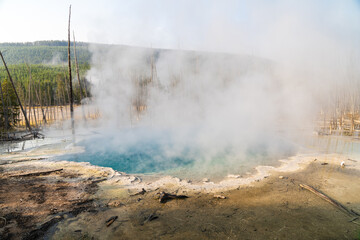Cistern Spring geyser hot spring in Yellowstone National Park in the Norris Geyser Basin area