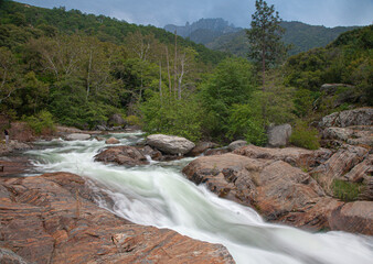 Kaweah River