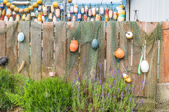 Fishing net and crab trap floats on a fence. Stock Photo