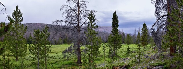 Henry’s Fork hiking trail view towards Kings Peak in Uintah Rocky Mountains in summer, Ashley National Forest, High Uintas Wilderness, Utah. United States. USA