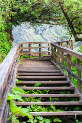 Stairway to the beach at Ecola State Park on the Oregon coast.