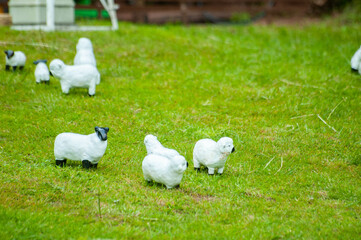 Closeup of tiny model sheep in a field in a model village