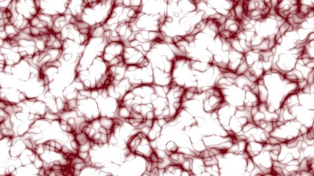 Abstract organic dynamic animated curved lines, shapes transforming. Red colored swirling wavy patterns, splines flowing on white background. 3D render. 4K Resolution