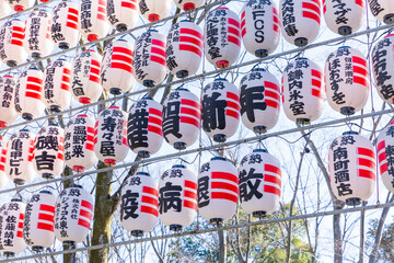 a lot of traditional lantern hanged above the street of ookunitama shrine in new year 2021
