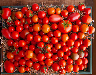 Background Of Tomatoes. Texture of fresh organic tomatoes