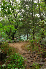 East Bluff Trail.