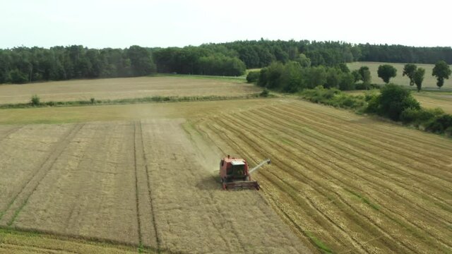The BIZON combine harvester collects grain from the fields