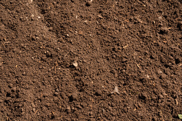 Soil background. Closeup view of fertile land. 
