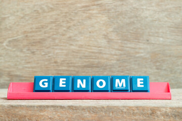 Tile alphabet letter with word genome in red color rack on wood background