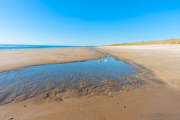 Obraz premium Low tide pools on sandy beach