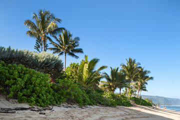 Fototapeta na wymiar Beach along the Pacific ocean on Oahu Island in Hawaii.