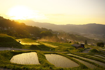 美しくて静かな夕暮れ時の棚田の風景