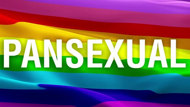 Pansexual text on Pride flag seamless loop. Pansexual concept flag Closeup 1080p Full HD 1920X1080 footage video waving in wind. Pride 3d Pansexual flag waving. Sign of Pansexual Rainbow seamless loop