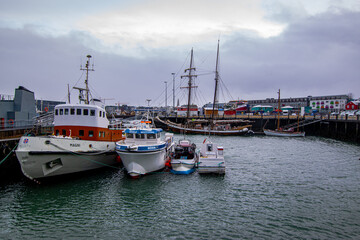 Fototapeta premium Reykjavik, Iceland - February 2020
