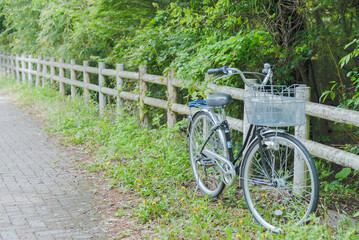 Vintage bikes parked on the edge of a fence beside the forest.