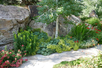 Stone footpath with a colorful variety of plants