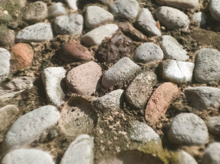 Rock Outcrop on a cement road