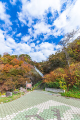 晩秋のオシンコシンの滝