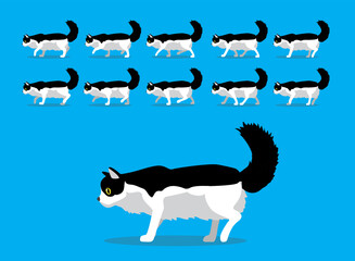 Animal Animation Sequence Cat American Curl Cartoon Vector Black Coat