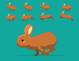 Animal Animation Sequence Rabbit Thrianta Cartoon Vector