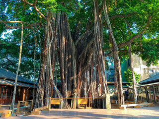 台湾南部の台中市周辺の観光名所を旅行する風景 Scenic Spots around Taichung City in Southern Taiwan 