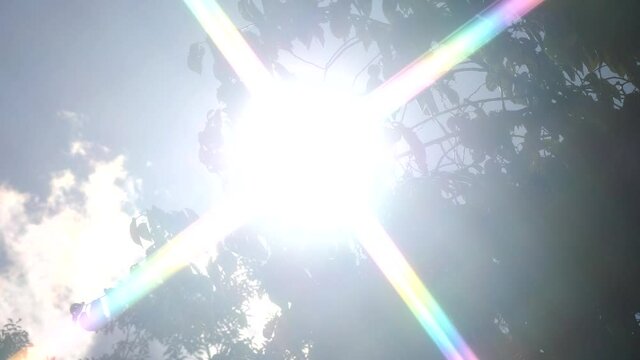 真夏の太陽光線