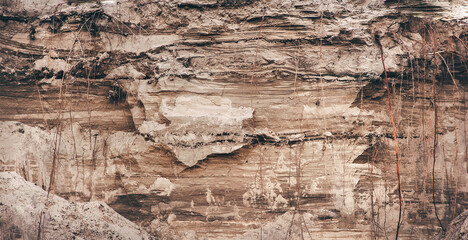 Layers of soil under the ground. The cultural layer. The roots of the trees are underground. Soil with clay and sand background.