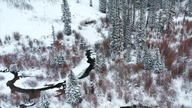 Aerial over snow frosted, winter landscapes.