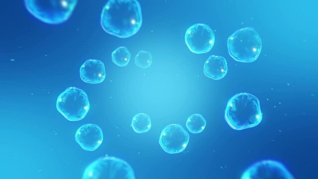 Many soap bubbles on blue background. Realistic bubbles slowly float. Transparent bubbles flying. Loop animation.